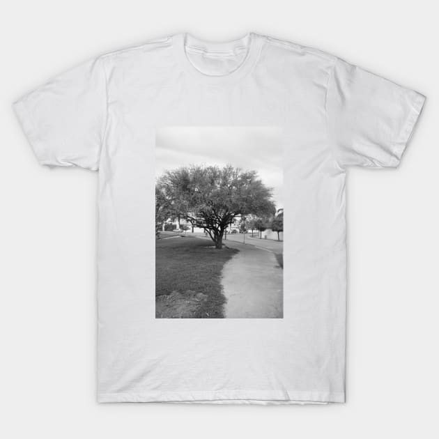 Landscape and tree T-Shirt by ScrambledPsychology